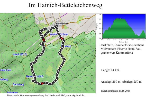 blatt-hainich-2C070A865-538B-ABA7-1EB3-5CAAD5D14070.jpg