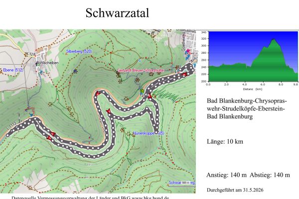 blatt-schwarzata-2lAAD35B80-A0E2-60A3-6D9F-5C2E4634F9C5.jpg