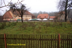 cimg0011.jpg